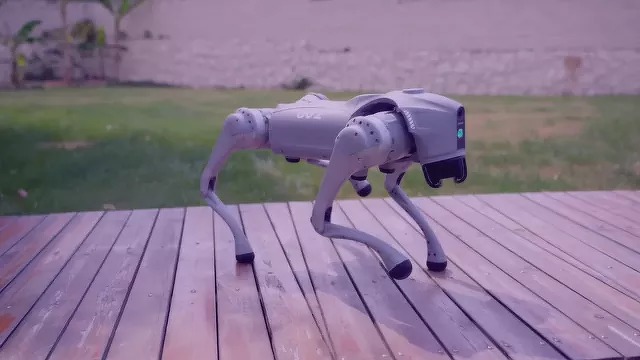 robotkutya b&eacute;rl&eacute;s j&aacute;t&eacute;k c&eacute;ges esem&eacute;nyre technol&oacute;giai attrakci&oacute; sz&oacute;rakoztat&oacute; robot prom&oacute;ci&oacute;s eszk&ouml;z futurisztikus &eacute;lm&eacute;ny innovat&iacute;v j&aacute;t&eacute;k high-tech robot kutya robodog robot dog tobotdog robodog
